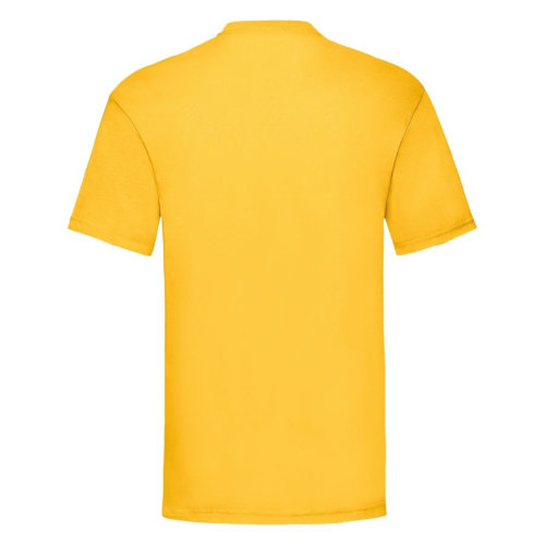 Футболка мужская VALUEWEIGHT T 165 (желтый)