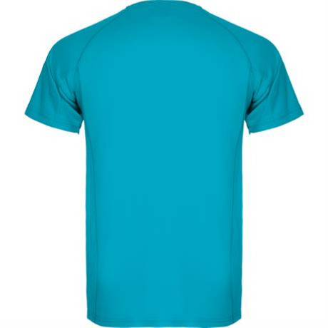 Спортивная футболка MONTECARLO мужская, БИРЮЗОВЫЙ 3XL