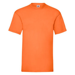 Футболка мужская VALUEWEIGHT T 165 (оранжевый)